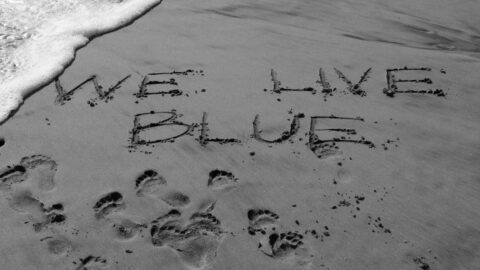 We Live Blue