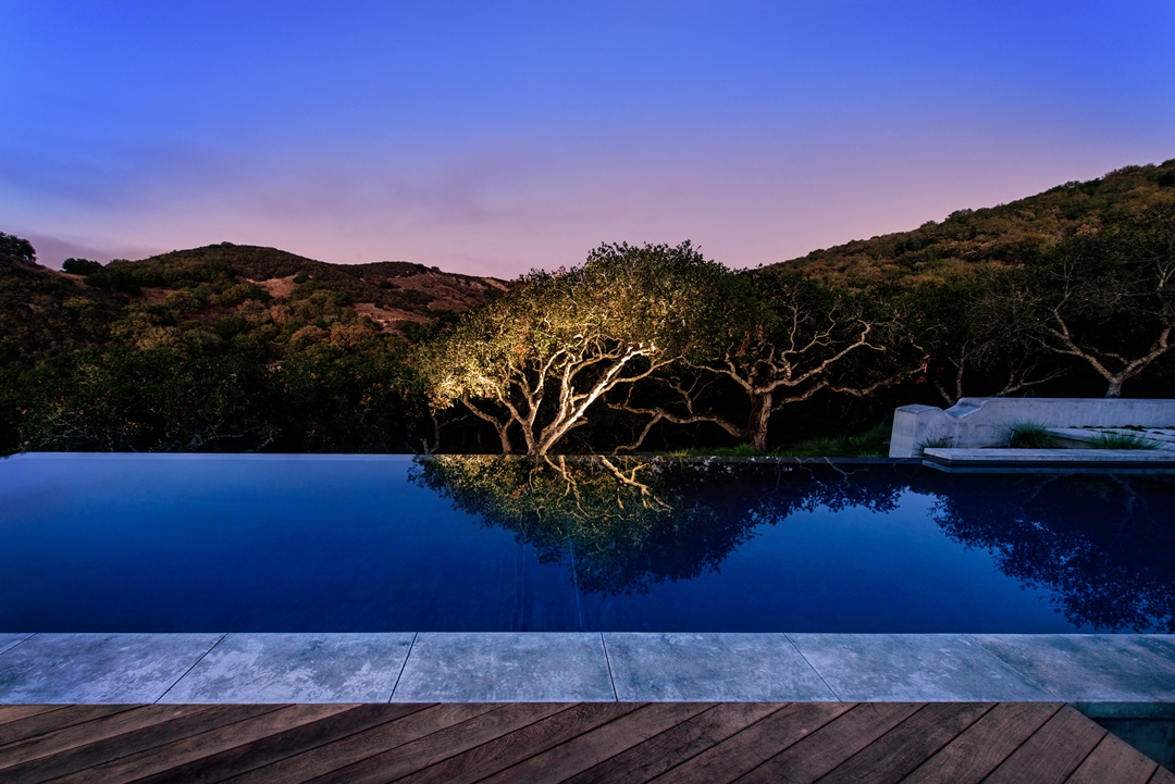 The design preserved the trees and made them a feature as opposed to an obstacle in the way of the pool.